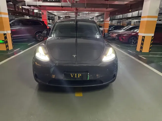 Tesla Model Y — Фото автомобиля 2