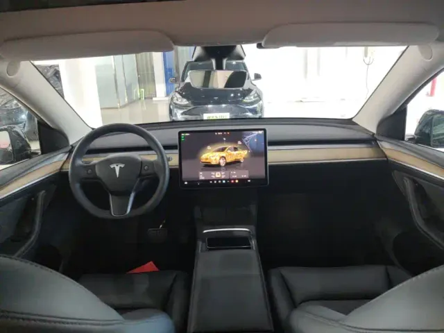 Tesla Model Y — Фото автомобиля 9