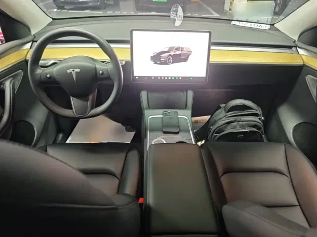 Tesla Model Y — Фото автомобиля 9