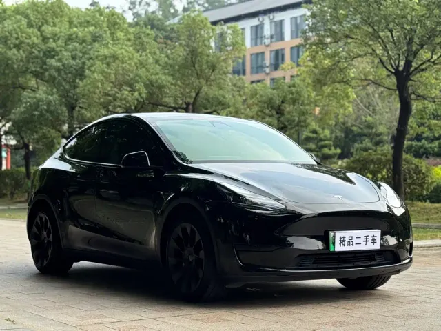 Tesla Model Y — Фото автомобиля 3