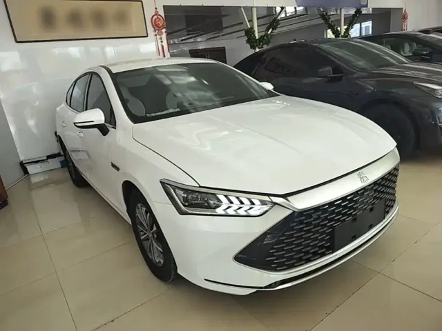 BYD Qin PLUS — Фото автомобиля 3