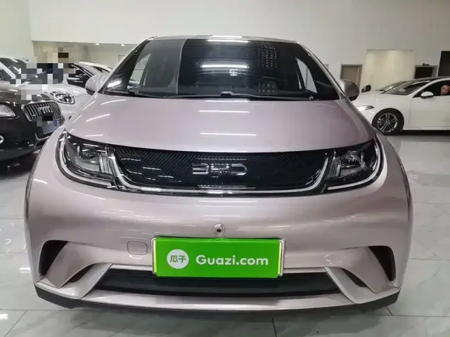 BYD Dolphin — Фото автомобиля 2