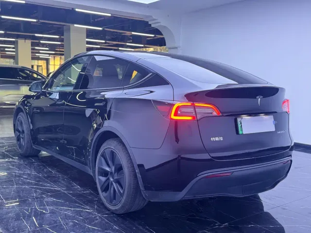 Tesla Model Y — Фото автомобиля 9