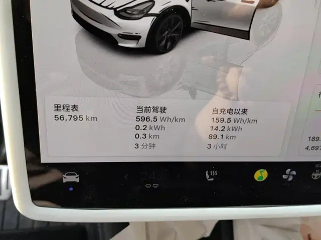 Tesla Model Y — Фото автомобиля 14