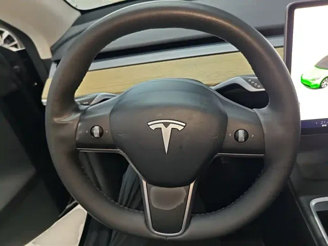 Tesla Model Y — Фото автомобиля 10