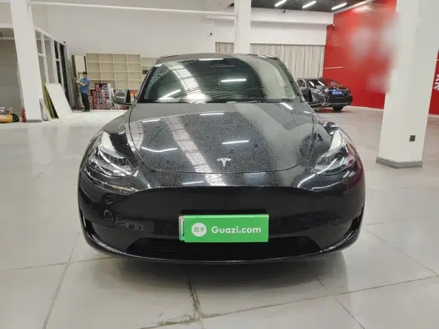 Tesla Model Y — Фото автомобиля 2