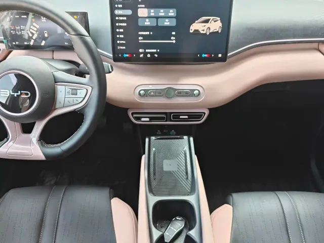 BYD Seagull — Фото автомобиля 7