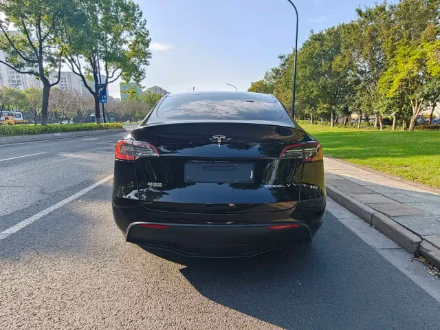 Tesla Model Y — Фото автомобиля 4