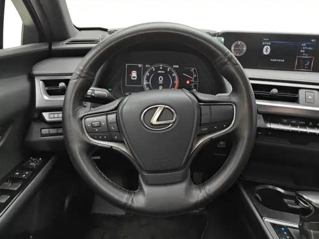 Lexus Lexus UX 2020 200 Special Edition — Фото автомобиля 15