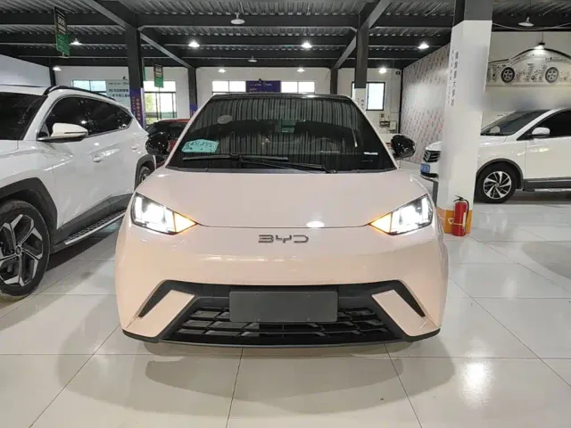 BYD Seagull — Фото автомобиля 2
