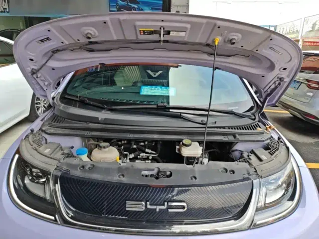 BYD Dolphin — Фото автомобиля 19
