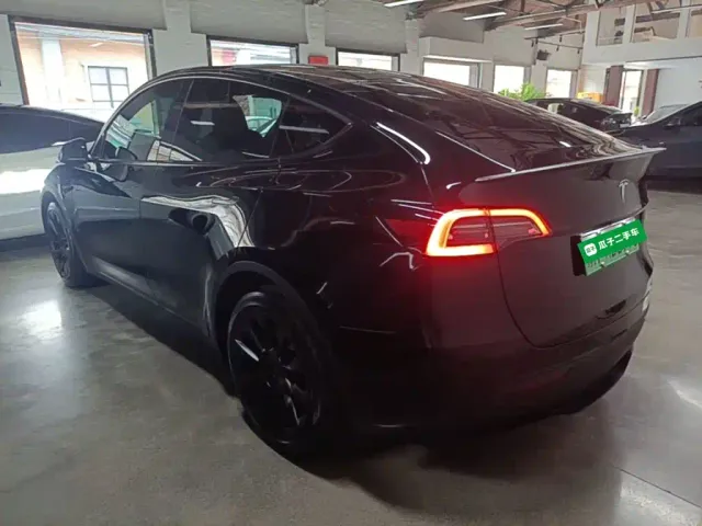 Tesla Model Y — Фото автомобиля 4