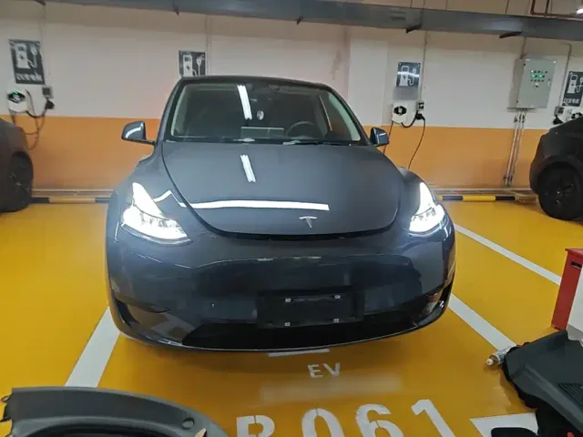 Tesla Model Y — Фото автомобиля 2