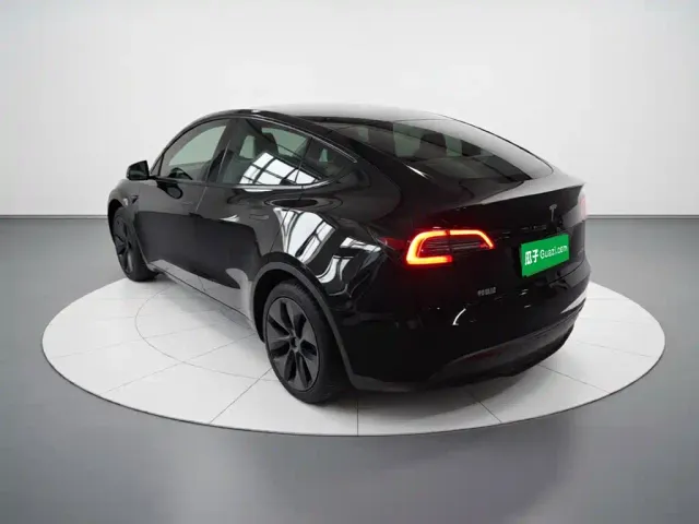 Tesla Model Y — Фото автомобиля 4