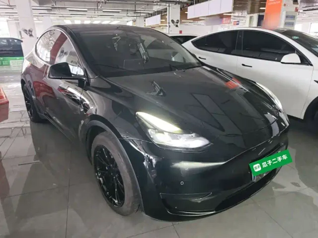 Tesla Model Y — Фото автомобиля 3