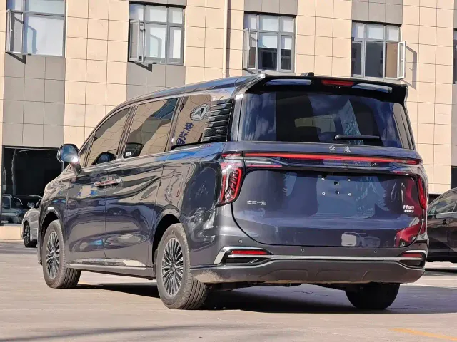 Hongqi HQ9 PHEV — Фото автомобиля 5