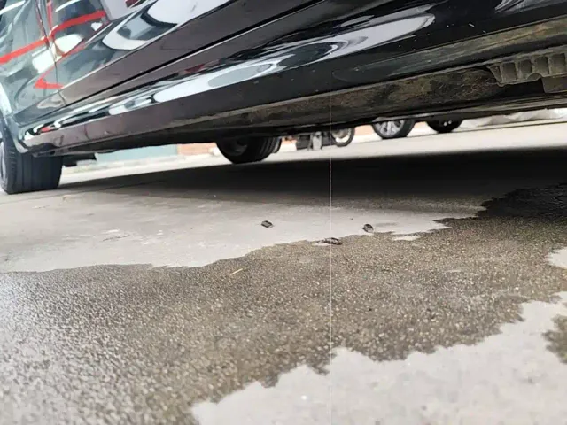BMW 5 Series — Фото автомобиля 20