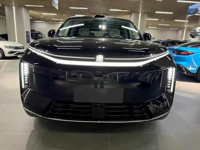 Фотография автомобиля — BYD Dynasty-D