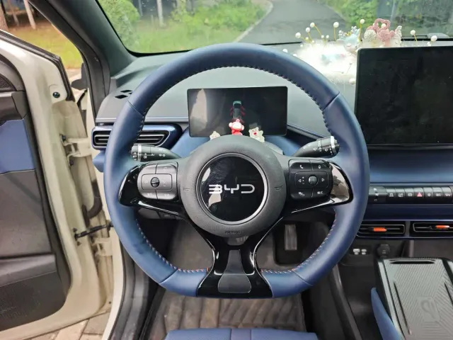 BYD Seagull — Фото автомобиля 13