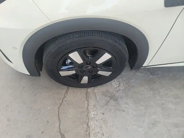 BYD Dolphin 2025 Smart Drive Edition 410km Fashion Version — Фото автомобиля 22
