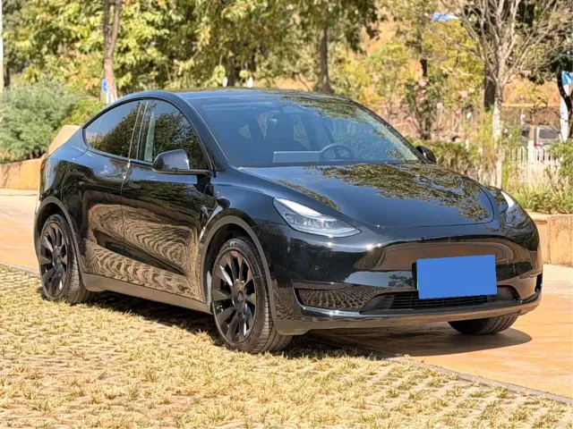 Tesla Model Y — Фото автомобиля 3
