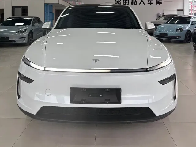 Tesla Model Y — Фото автомобиля 2