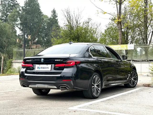 BMW 5 Series — Фото автомобиля 9