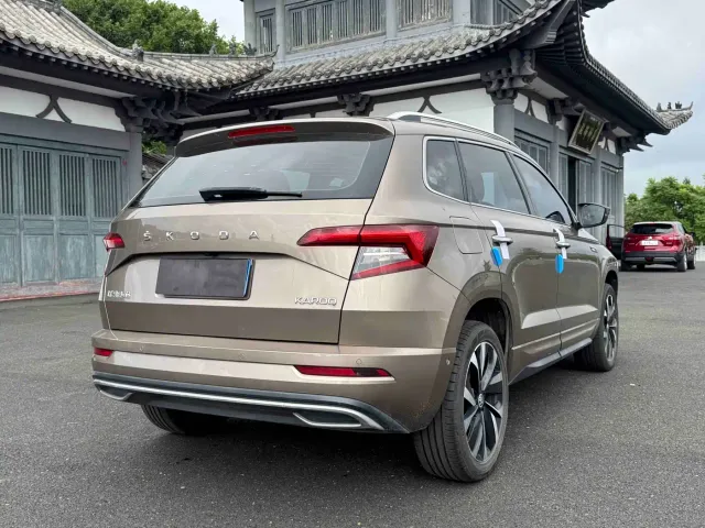 Skoda Karoq — Фото автомобиля 6