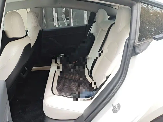 Tesla Model 3 — Фото автомобиля 18