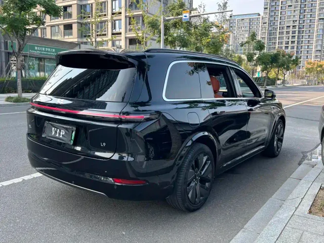 Li Auto L9 — Фото автомобиля 16