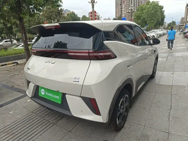 BYD Seagull — Фото автомобиля 6
