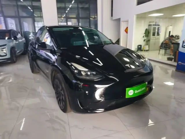 Tesla Model Y — Фото автомобиля 21