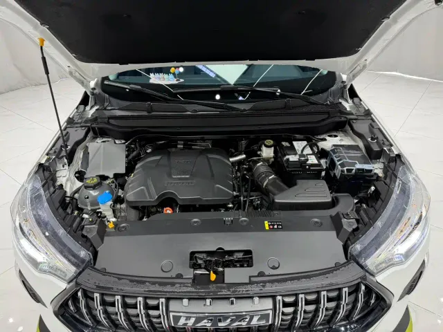 Haval Chitu — Фото автомобиля 21