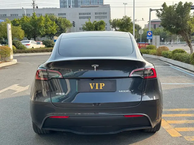 Tesla Model Y — Фото автомобиля 5