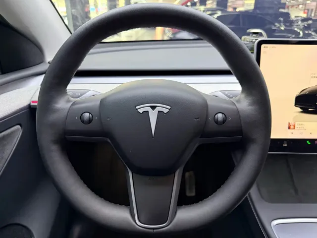 Tesla Model Y — Фото автомобиля 12