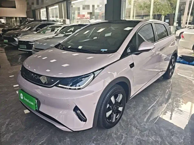 Фотография автомобиля — BYD Dolphin
