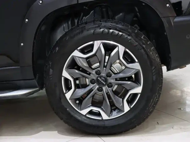 Haval Big Dog — Фото автомобиля 20
