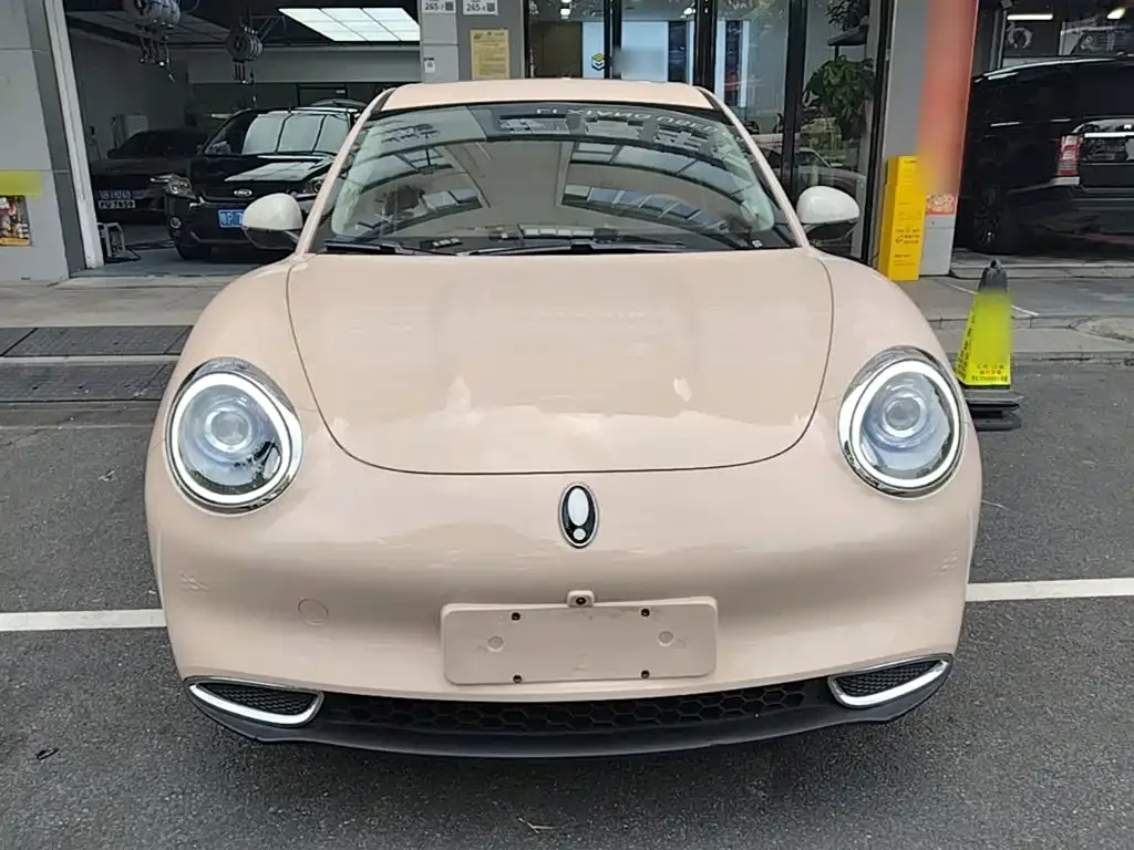 Ora Ora Good Cat 2021 400km Standard Range Venus Edition (LFP) — Фото автомобиля 2