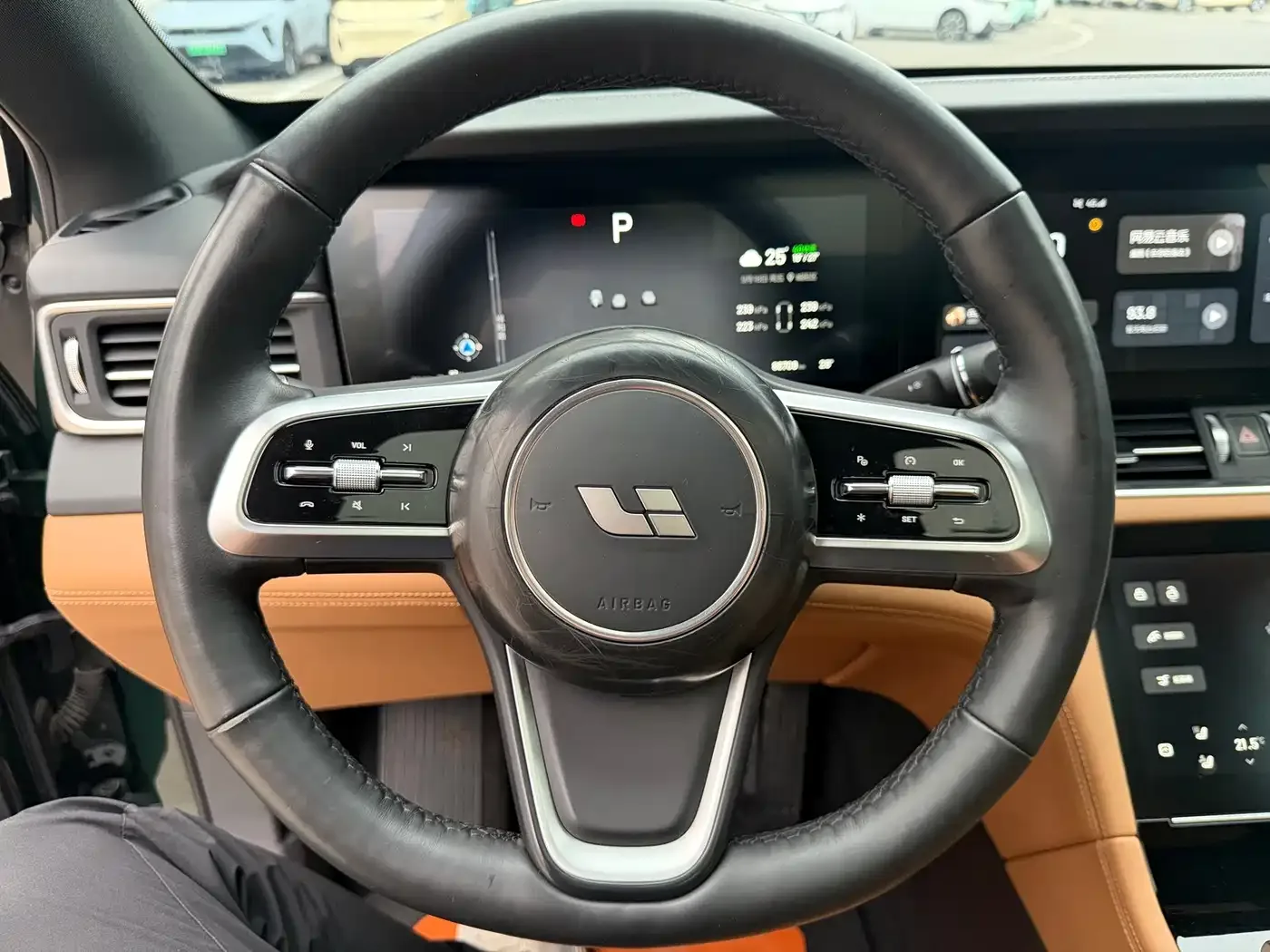 Li Auto Li ONE 2021 Extended Range 6-Seater — Фото автомобиля 19