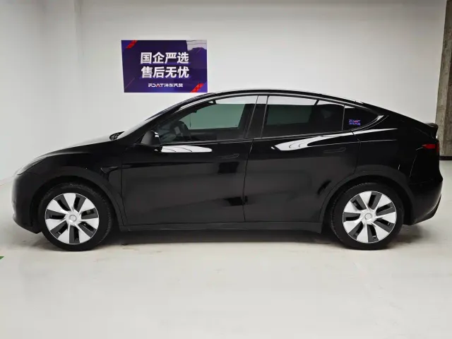 Tesla Model Y — Фото автомобиля 9