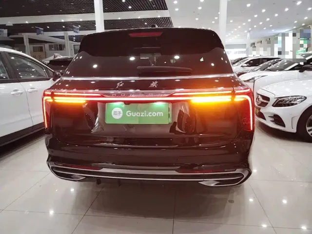 Hongqi E-HS9 — Фото автомобиля 5