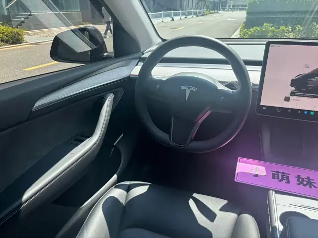 Tesla Model Y — Фото автомобиля 11