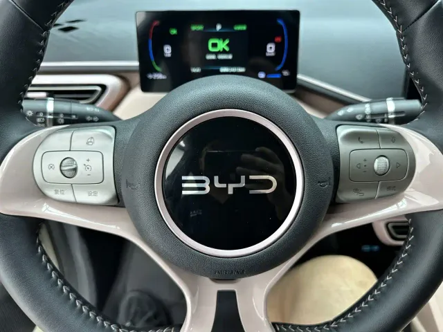BYD Seagull — Фото автомобиля 14