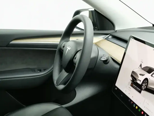 Tesla Model Y — Фото автомобиля 22
