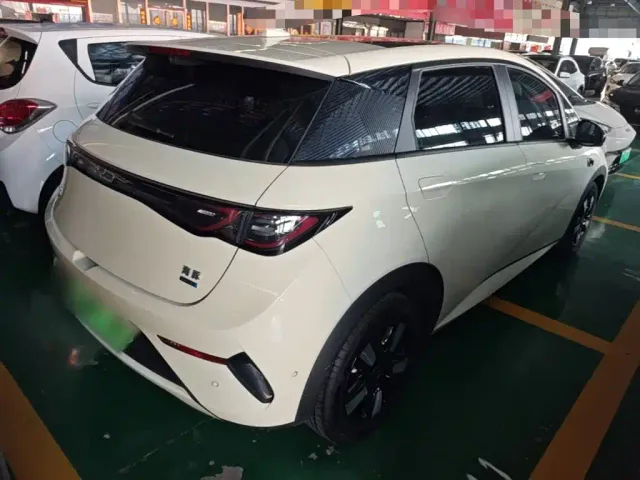 BYD Dolphin — Фото автомобиля 6