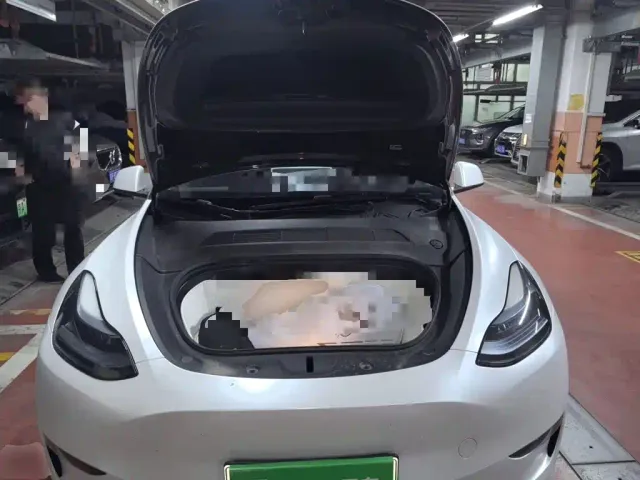 Tesla Model Y — Фото автомобиля 10