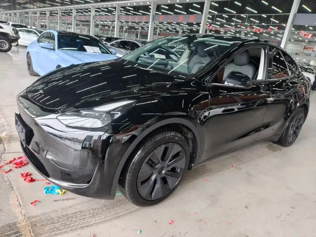 Tesla Model Y — Фото автомобиля 7
