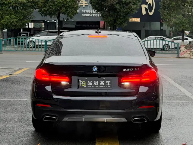BMW 5 Series — Фото автомобиля 8