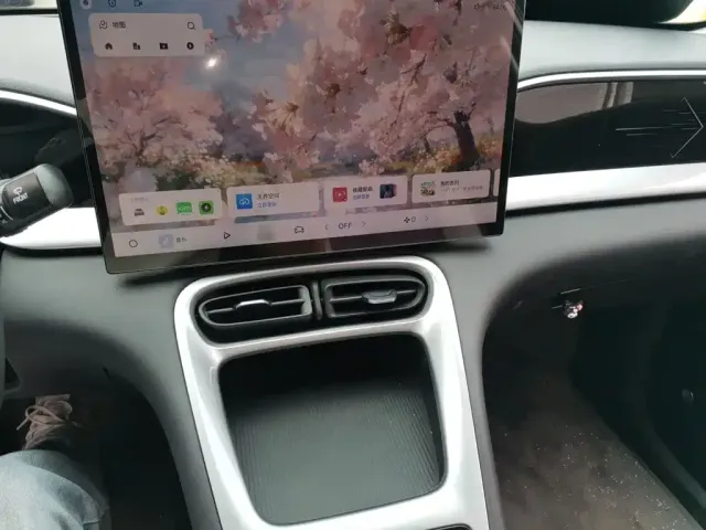 Geely Starry Wish — Фото автомобиля 5