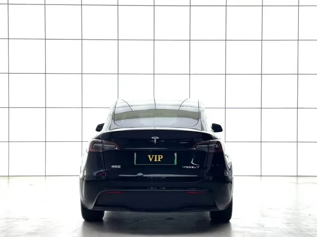 Tesla Model Y 2021 Standard Range Rear-Wheel Drive — Фото автомобиля 7